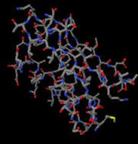 PROBLEMAS CON MLECULAS GRANDES