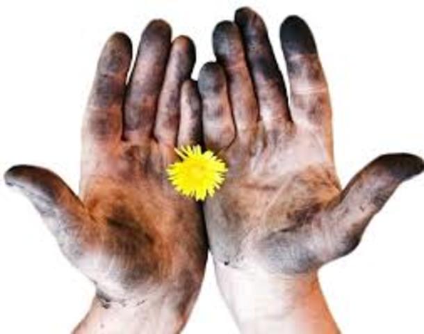 Cleaning with Client - Contracting