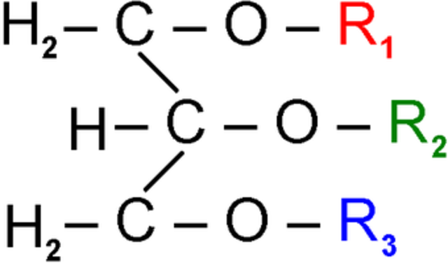 Triastearina inorgánica igual a una obtenida de ácidos grasos.