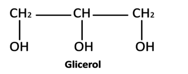 AQUÍ INTERVINO BERTHELOT