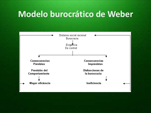 CIENCIAS DEL COMPORTAIENTO