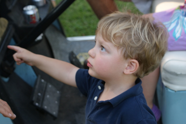 My last cousin is born-Ledger Fisher Vernooy Free