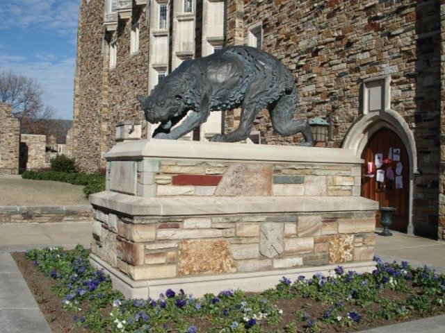 Graduate from Rhodes