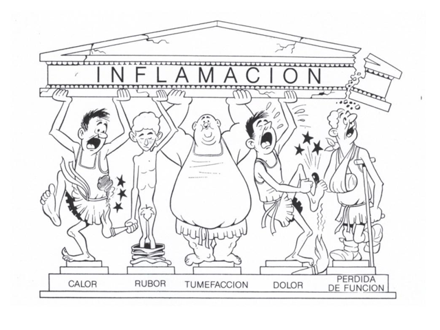 Papa Nicolás V descubre 8 volúmenes de Observaciones Patologicas