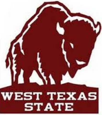 Setting an Example to Follow