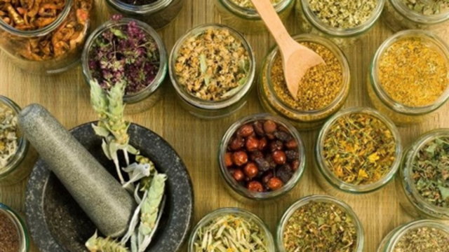 Las hierbas farmacéuticas fueron popularizadas