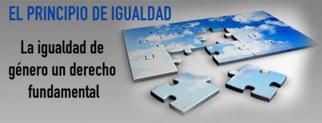 Principio de Igualdad