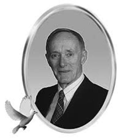 Alton Graig (teoria de sistemas)