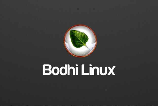 Bodhi Linux 3.1.0