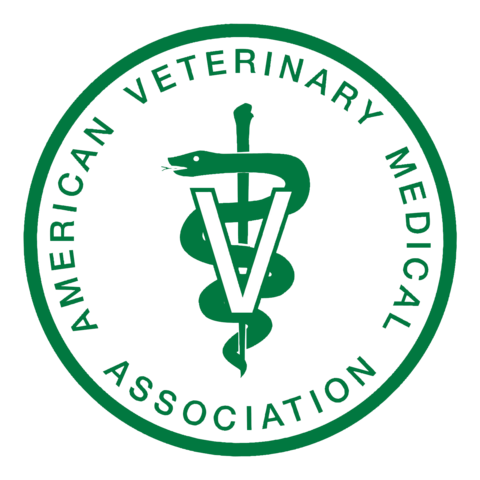 Primeras Mujeres Veterinarias