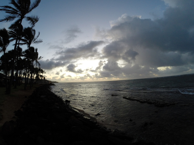 Took Month-Long Trip to Hawaii