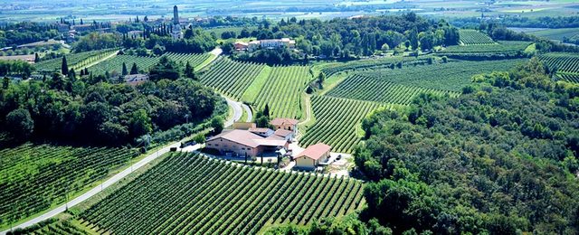 Radzetsky defeats Italians