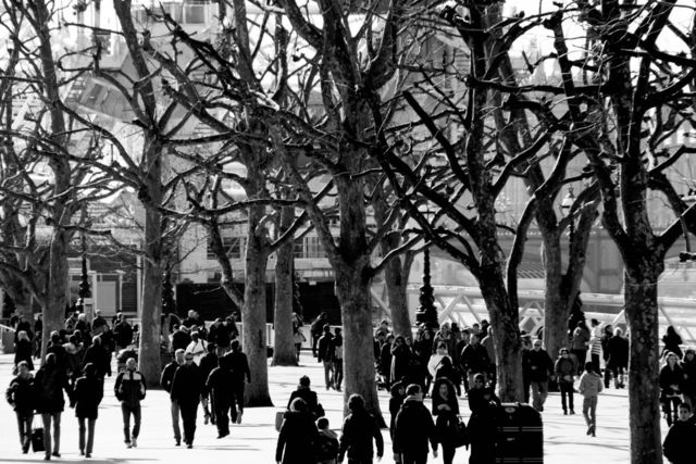 La Oficina del Censo busca manera eficiente de realizar censos.