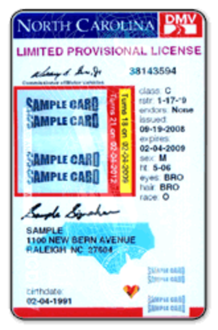 I Got My Driver's Permit