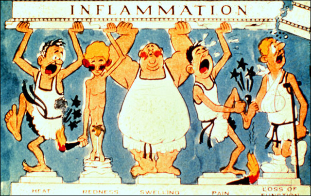 Descubrimiento de volumenes que hablan sobre los signos cardinales