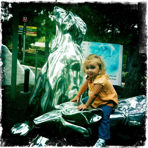 One of our many visits to the San Diego Zoo