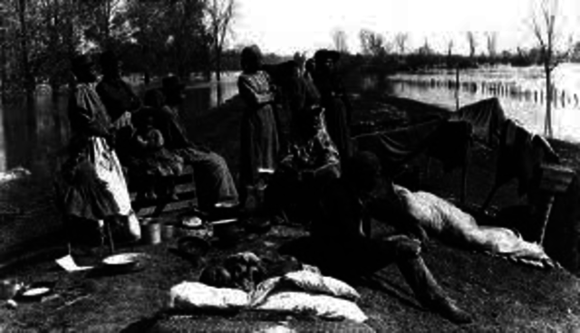 Texas Revolutionaries