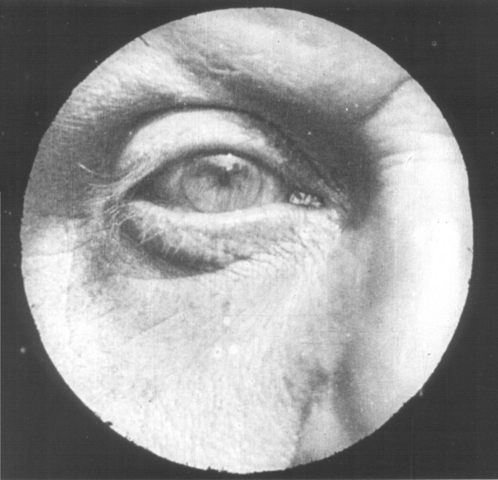 Primer plano detalle