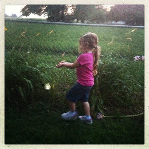 Saw first fireflies on a visit to Ames, IA