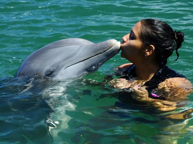 Kisses from a dolphin