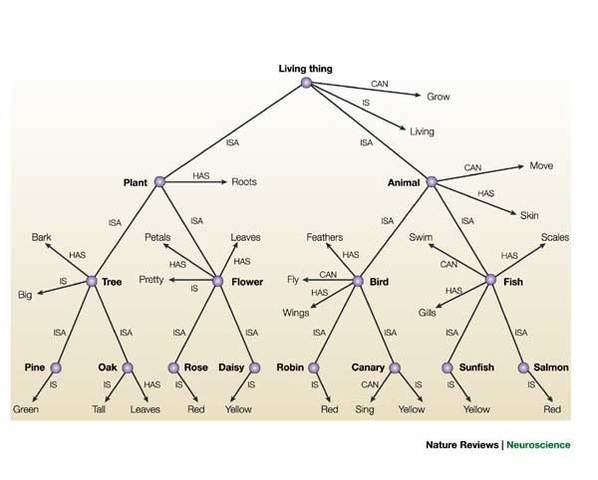 Parallel Distributing Processing