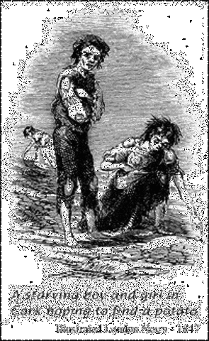 Irish potatoe blight - 120,000 that year alone