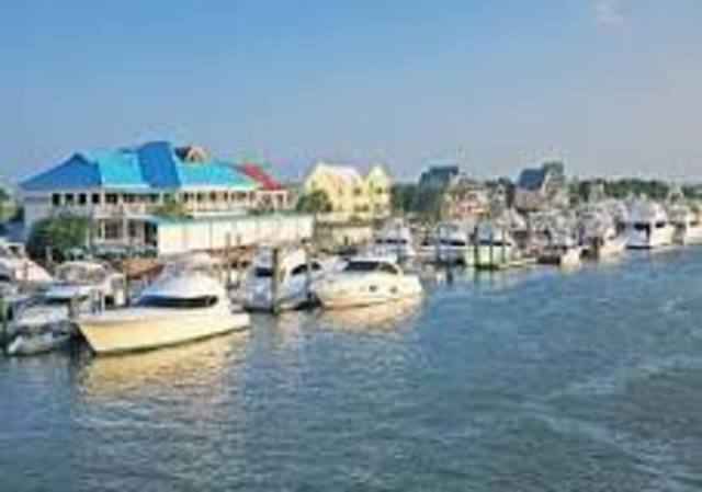 Moved to Wrightsville Beach from Columbia, SC