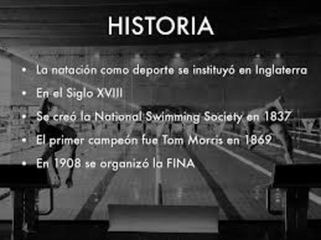 PRIMERA ORGANIZACIÓN