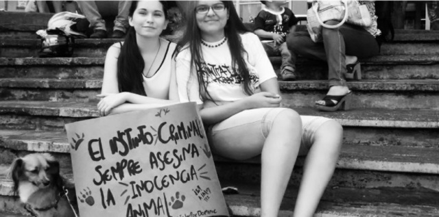 Planton nacional en Colombia por ley 172