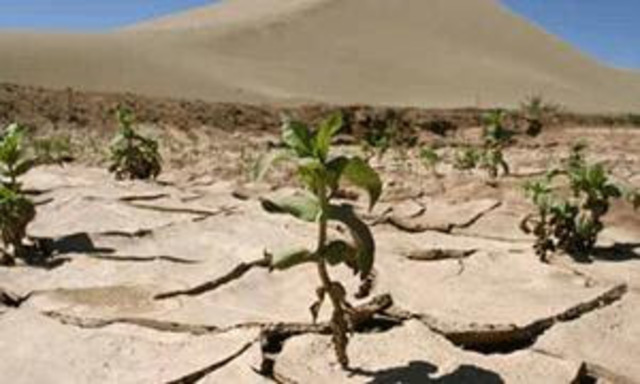 Primeros efectos ambientales radicales.