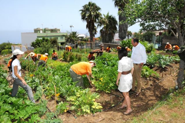 Agricultura biológica-ecológica de Muller.