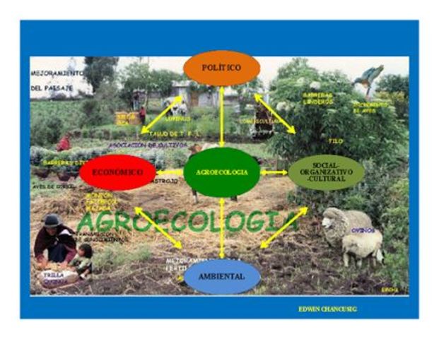 Aparicion de nuevos escenarios.