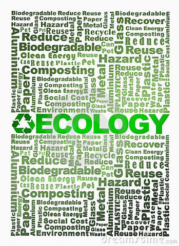 Palabra Ecología