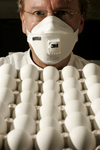 Avian flu kills young boy