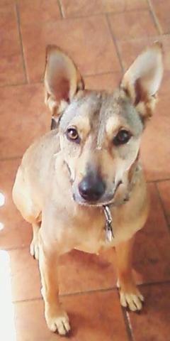 Brought Stella home from UG