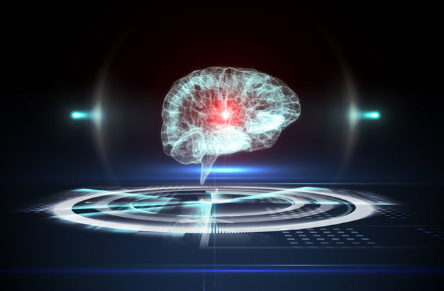 Pencil Eraser-Size Brain Grown in Lab Dish