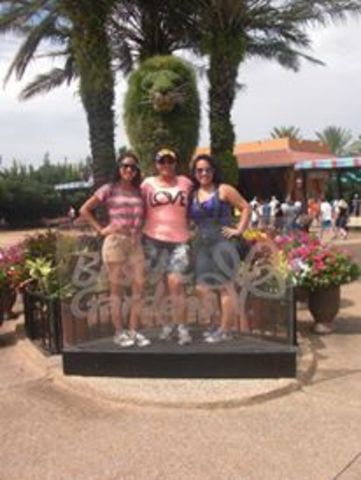 Bush Gardens Vacation