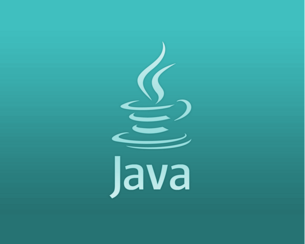 java un lenguaje de programacion