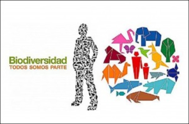 Convenio Marco sobre la Diversidad Biológica