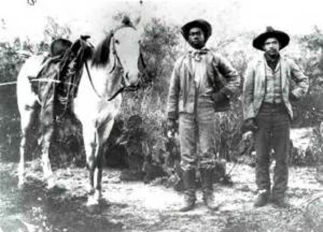 Black Cowboys