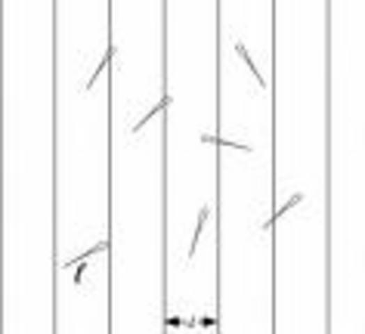 Buffon's Neede Problem