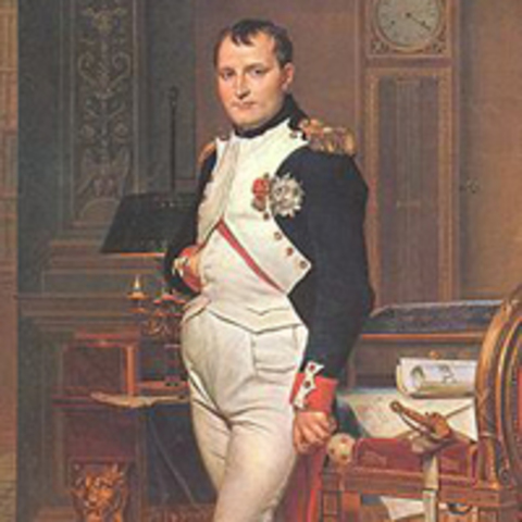 Napoleon Becoming a Consul