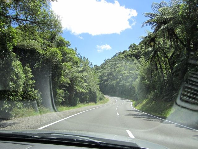 Road to whakatane now days