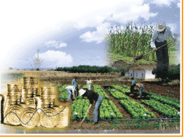 Economía del S. XVIII