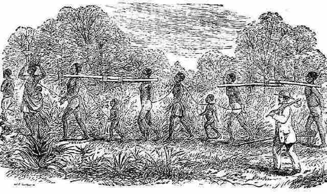 The first of the African Ancestry moved