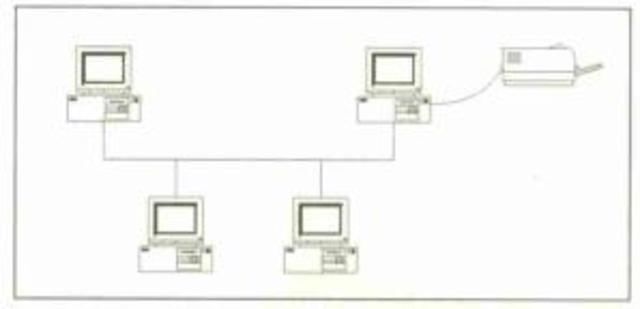 Redes terminales perifericos.
