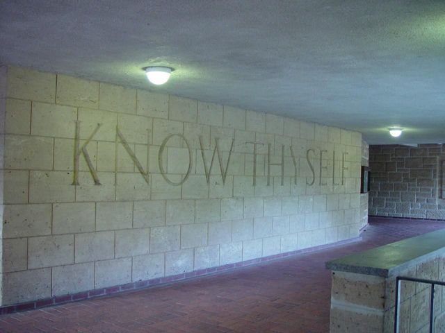 The Cognitive Perspective