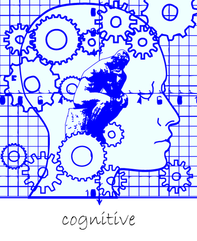 cognitive perspective