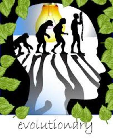 The Evolutionary Perspective