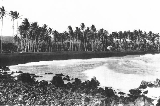 hawaii in the 1900